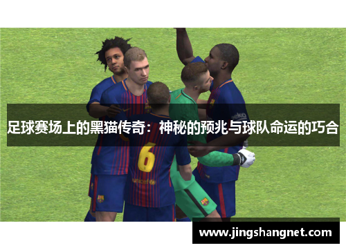 足球赛场上的黑猫传奇：神秘的预兆与球队命运的巧合