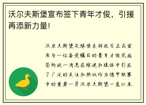沃尔夫斯堡宣布签下青年才俊，引援再添新力量!